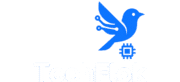 TechFlok Logo